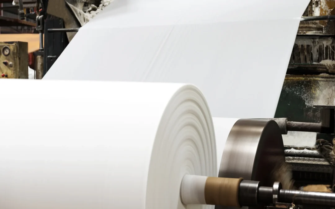 Filiera cartaria: iniziative in Parlamento e in UE per rafforzare competitività e trasformazione interna